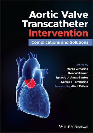 Aortic Valve Transcatheter Intervention Complications and Solutions