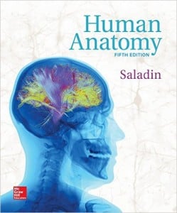 Human Anatomy, 5th Edition (Saladin)