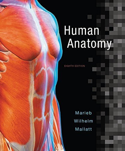 Human Anatomy (8th Edition) (Marieb)