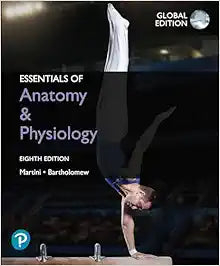 Essentials of Anatomy & Physiology, Global Edition, 8th Edition