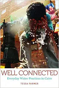 Well Connected: Everyday Water Practices in Cairo (Water and Society)