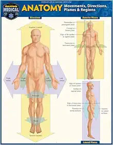 Anatomy – Directions, Planes, Movements & Regions: a QuickStudy Laminated Reference Guide