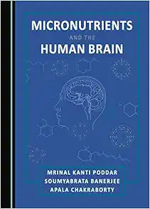 Micronutrients and the Human Brain