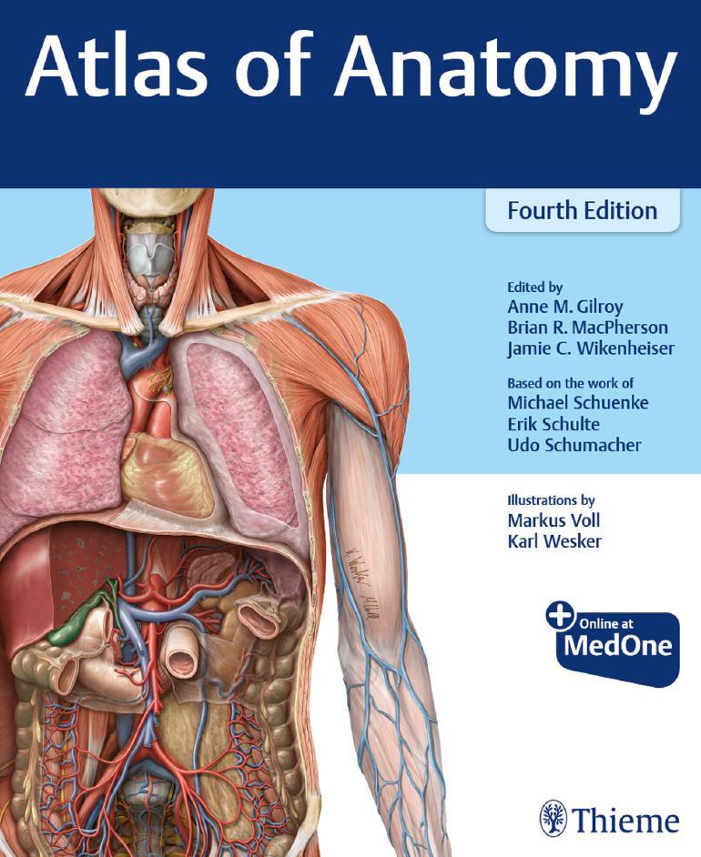 Atlas of Anatomy, 4ed