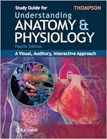 Study Guide for Understanding Anatomy & Physiology: A Visual, Auditory, Interactive Approach, 4th Edition