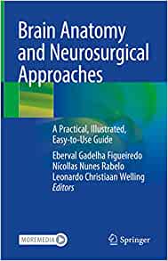 Brain Anatomy and Neurosurgical Approaches: A Practical, Illustrated, Easy-to-Use Guide