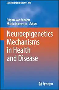 Neuroepigenetics Mechanisms in Health and Disease (Subcellular Biochemistry, 108)