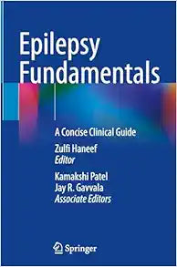 Epilepsy Fundamentals: A Concise Clinical Guide