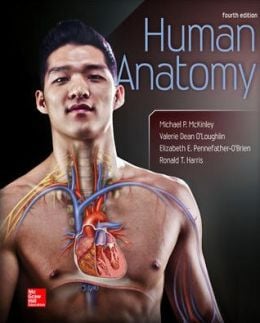 Human Anatomy, 4th Edition (McKinley)