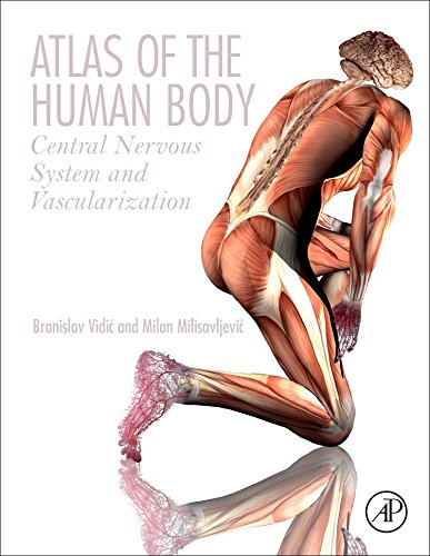 Atlas of the Human Body: Central Nervous System and Vascularization