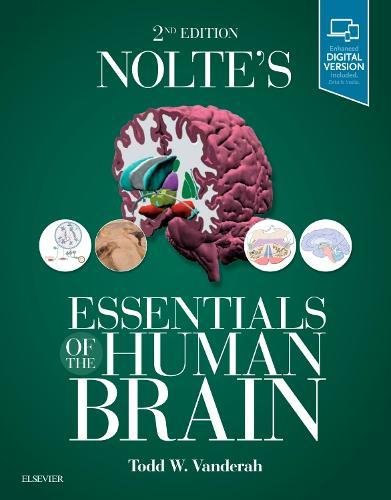 Nolte’s Essentials of the Human Brain, 2e
