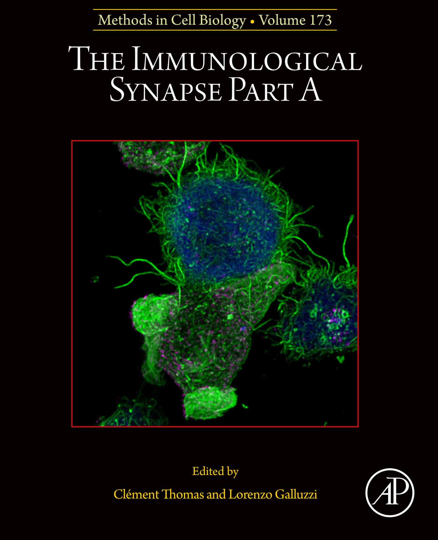 The Immunological Synapse Part A, Volume 173