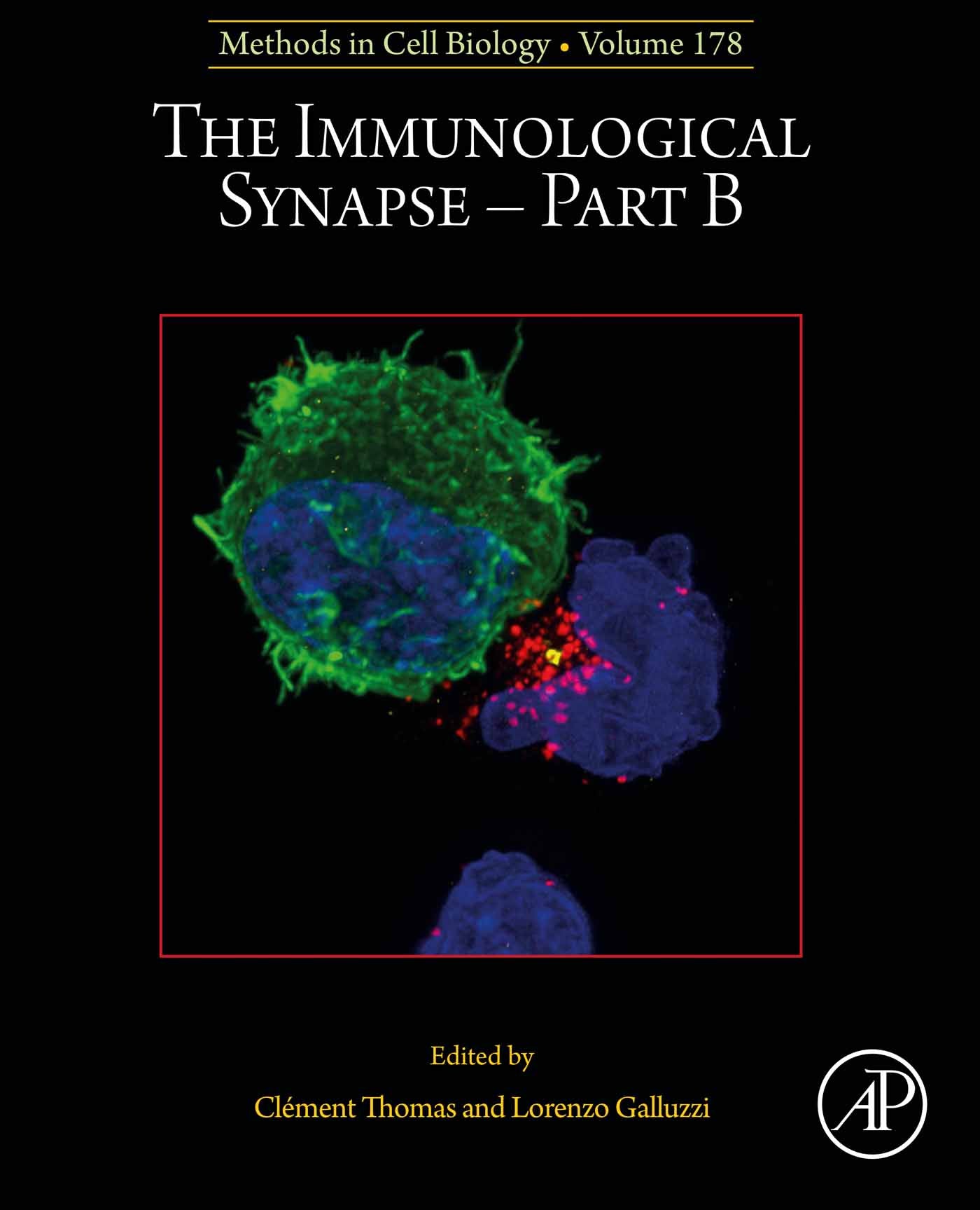 The Immunological Synapse – Part B, Volume 178