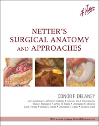 Netter’s Surgical Anatomy and Approaches (RETAIL PDF from Publisher)