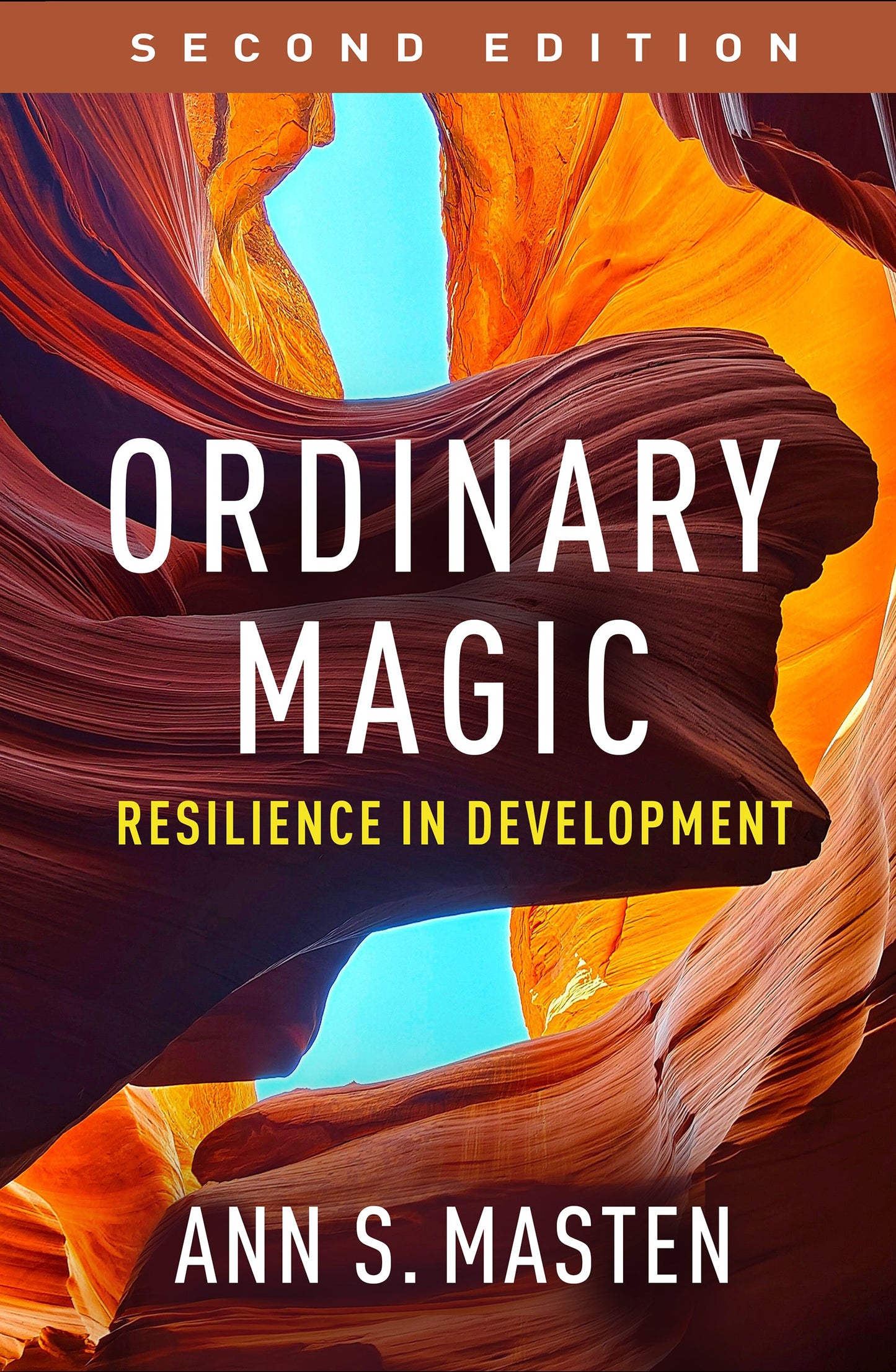 Ordinary Magic: Resilience in Development, 2nd Edition