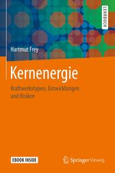 Kernenergie : Kraftwerkstypen, Entwicklungen und Risiken