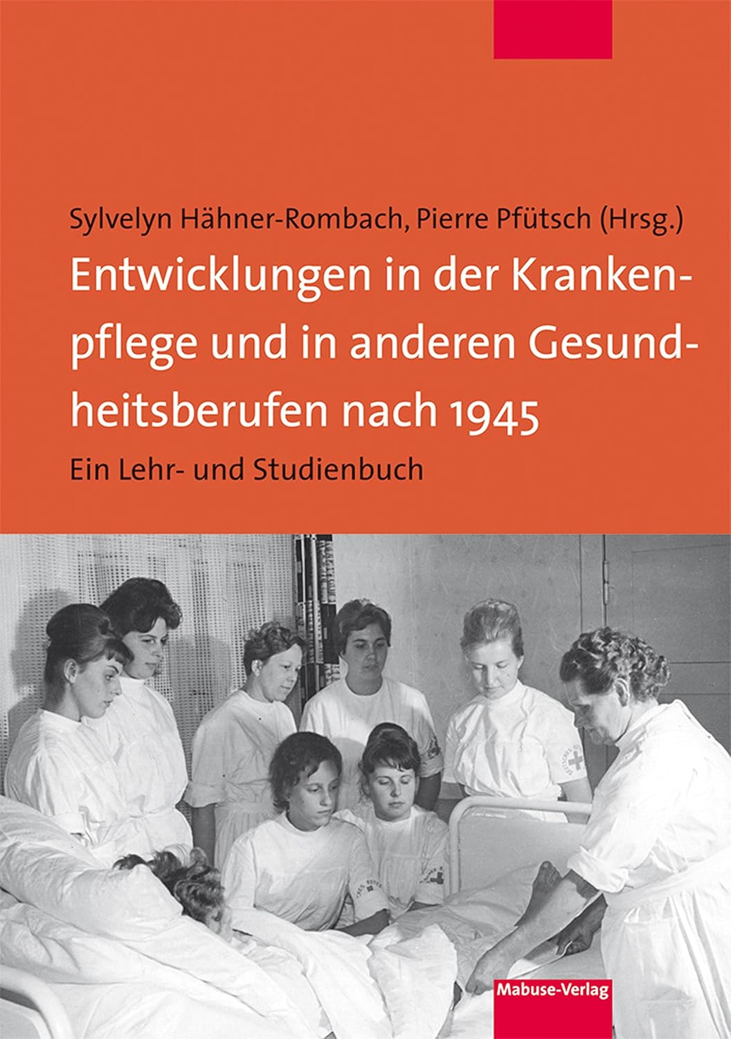 Entwicklungen in der Krankenpflege und in anderen Gesundheitsberufen nach 1945: Ein Lehr- und Studienbuch (German Edition)