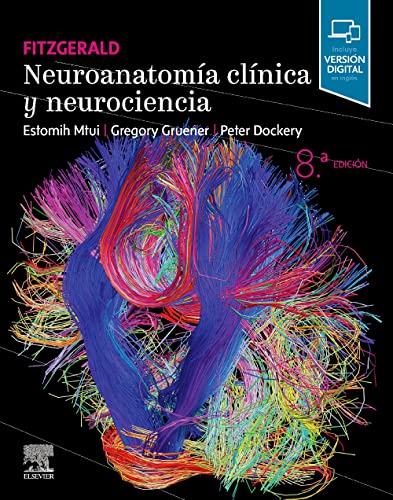 Fitzgerald. Neuroanatomía clínica y neurociencia, 8th edition