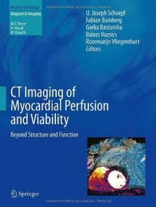 CT Imaging of Myocardial Perfusion and Viability: Beyond Structure and Function (Medical Radiology / Diagnostic Imaging)