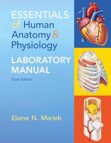 Essentials of Human Anatomy & Physiology Laboratory Manual (6th Edition)