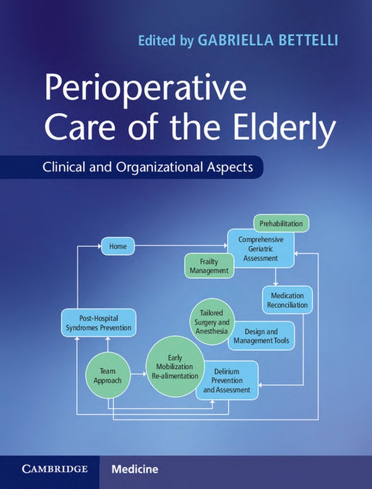 Perioperative Care of the Elderly: Clinical and Organizational Aspects, 1st Edition