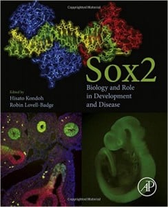 Sox2: Biology and Role in Development and Disease
