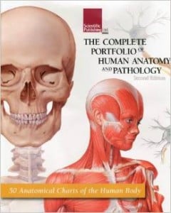 The Complete Portfolio of Human Anatomy and Pathology