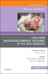 Long-Term Neurodevelopmental Outcomes of the NICU Graduate, An Issue of Clinics in Perinatology (Volume 45-3) (The Clinics: Orthopedics, Volume 45-3)