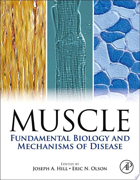 Muscle 2-Volume Set: Fundamental Biology and Mechanisms of Disease (ORIGINAL PDF from Publisher)
