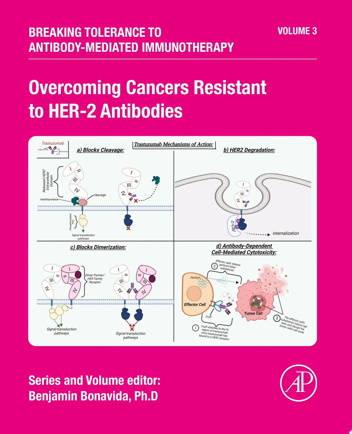 Overcoming Cancers Resistant to HER-2 Antibodies