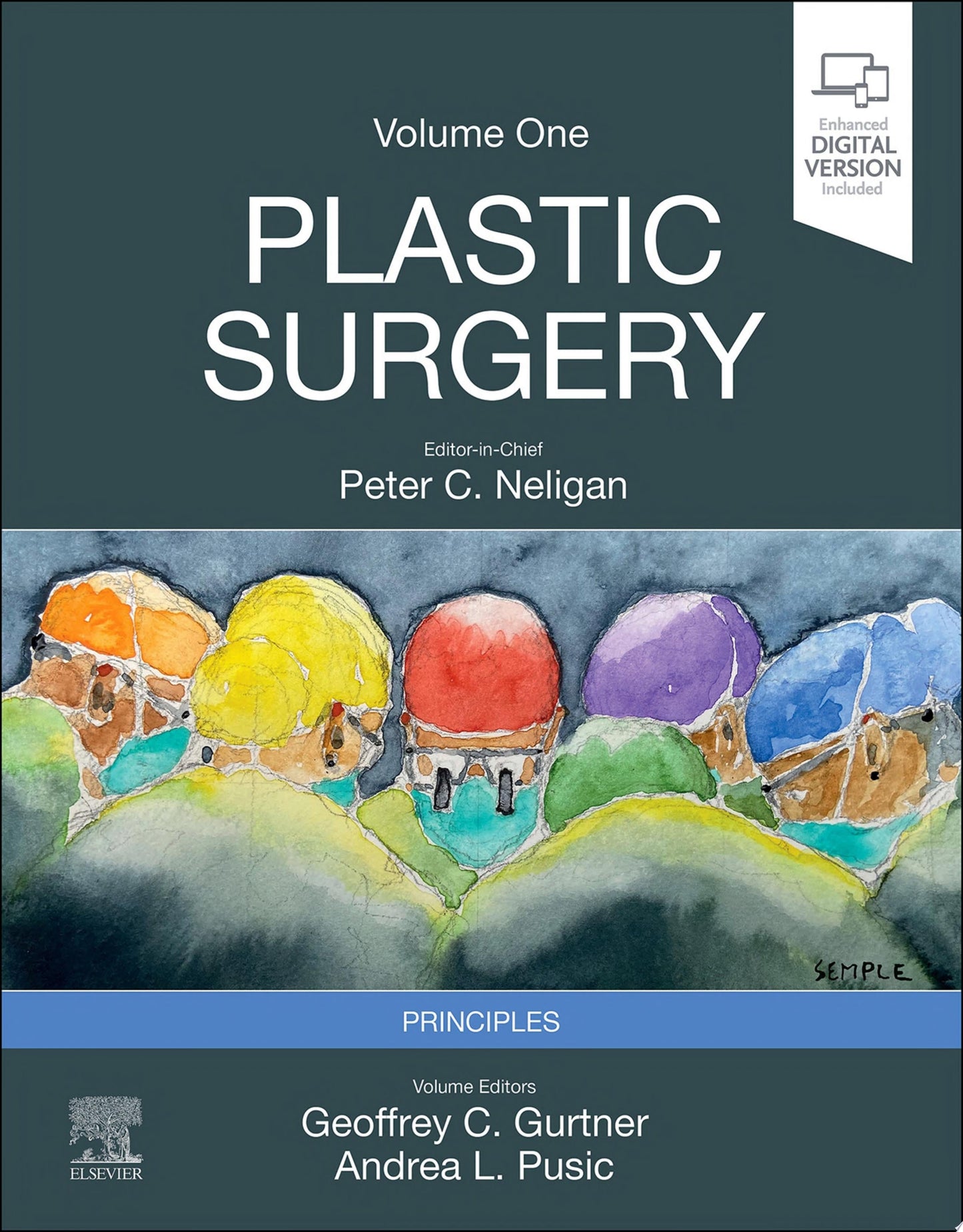 Reconstructive Surgery of the Hand and Upper Extremity (PDF)