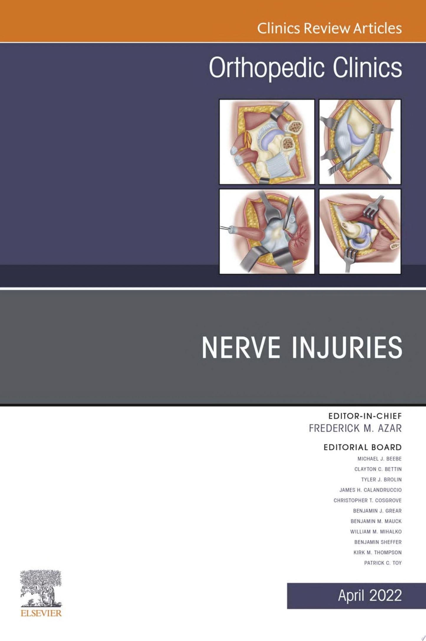 Nerve Injuries, An Issue of Orthopedic Clinics, E-Book (The Clinics: Internal Medicine)
