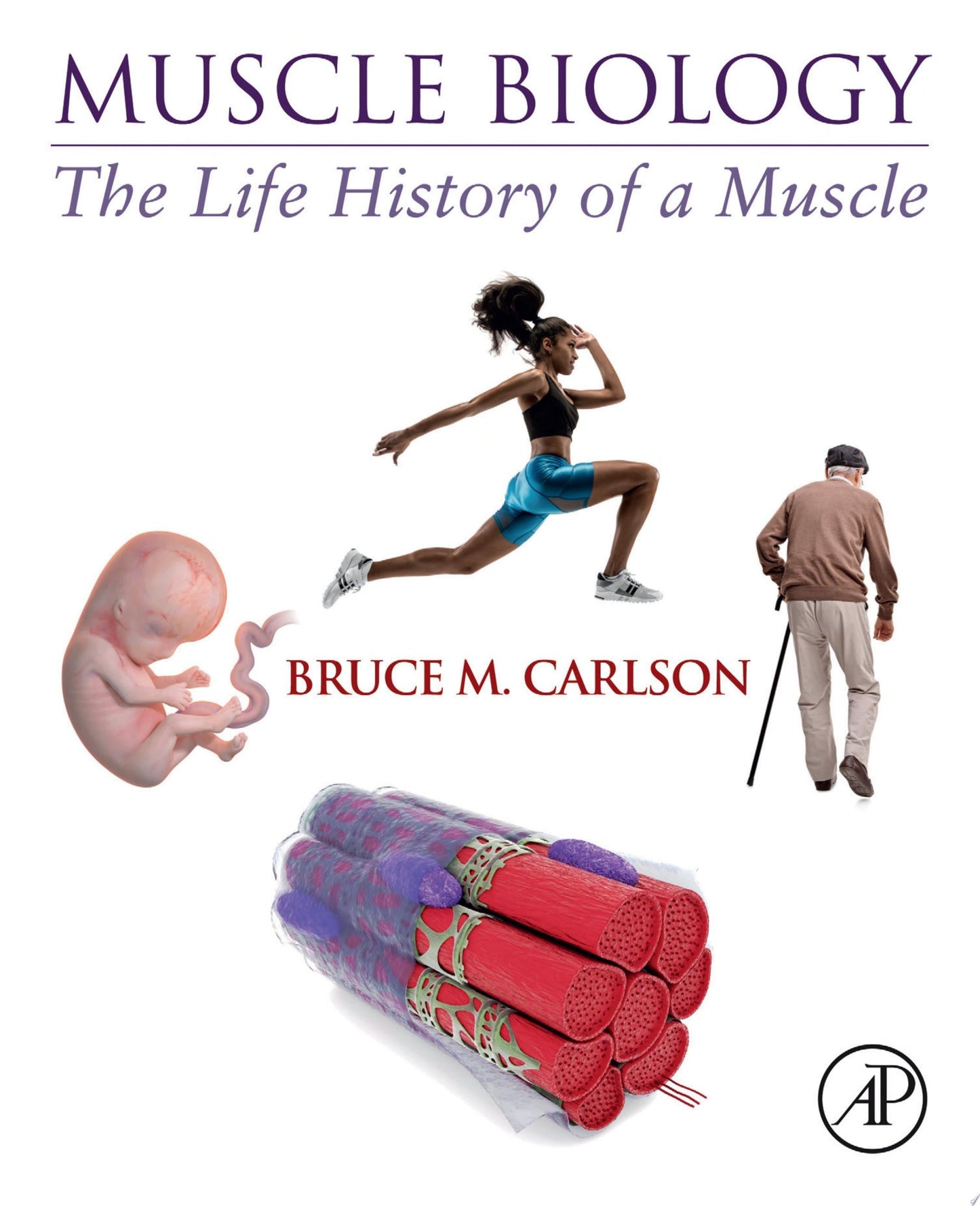 Muscle Biology: The Life History of a Muscle