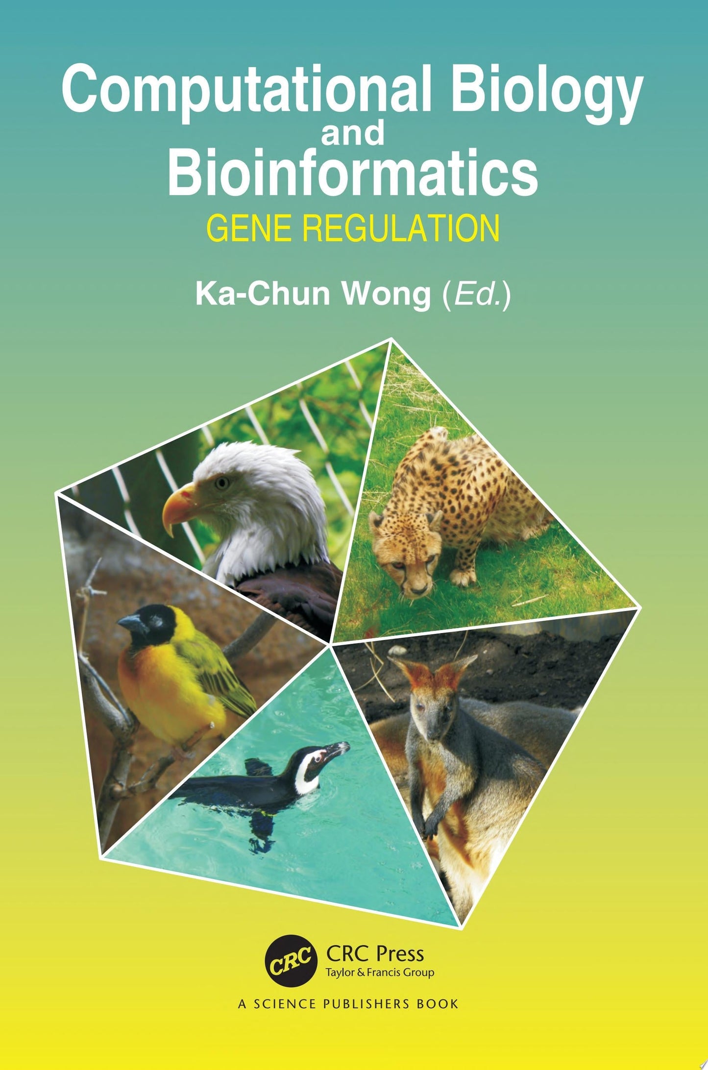 Computational Biology and Bioinformatics: Gene Regulation