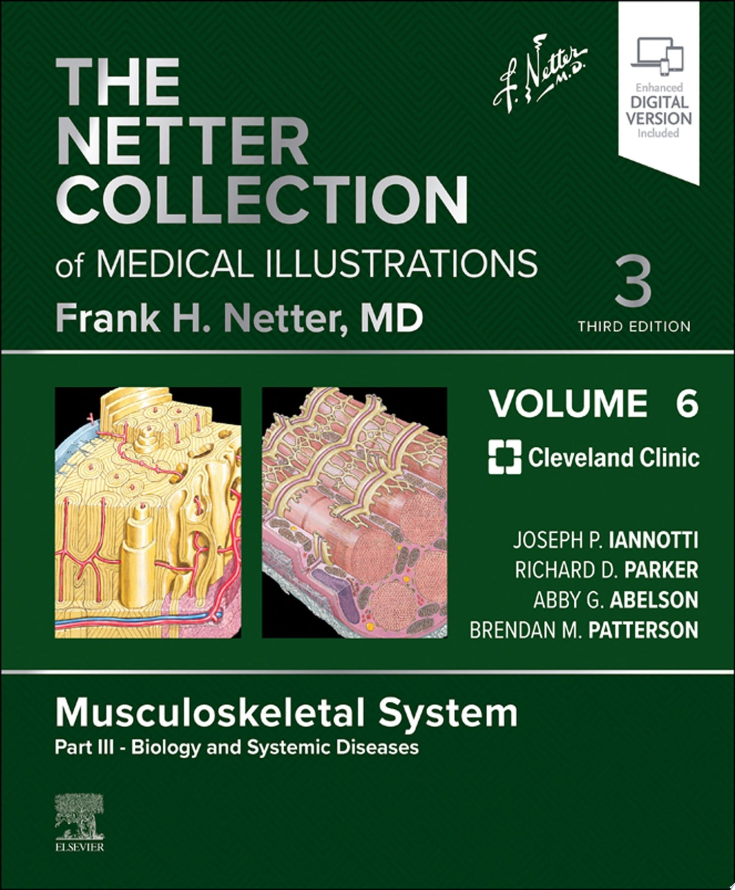 The Netter Collection of Medical Illustrations: Musculoskeletal System, Volume 6, Part III – Biology and Systemic Diseases, 2nd Edition (Netter Green Book Collection)
