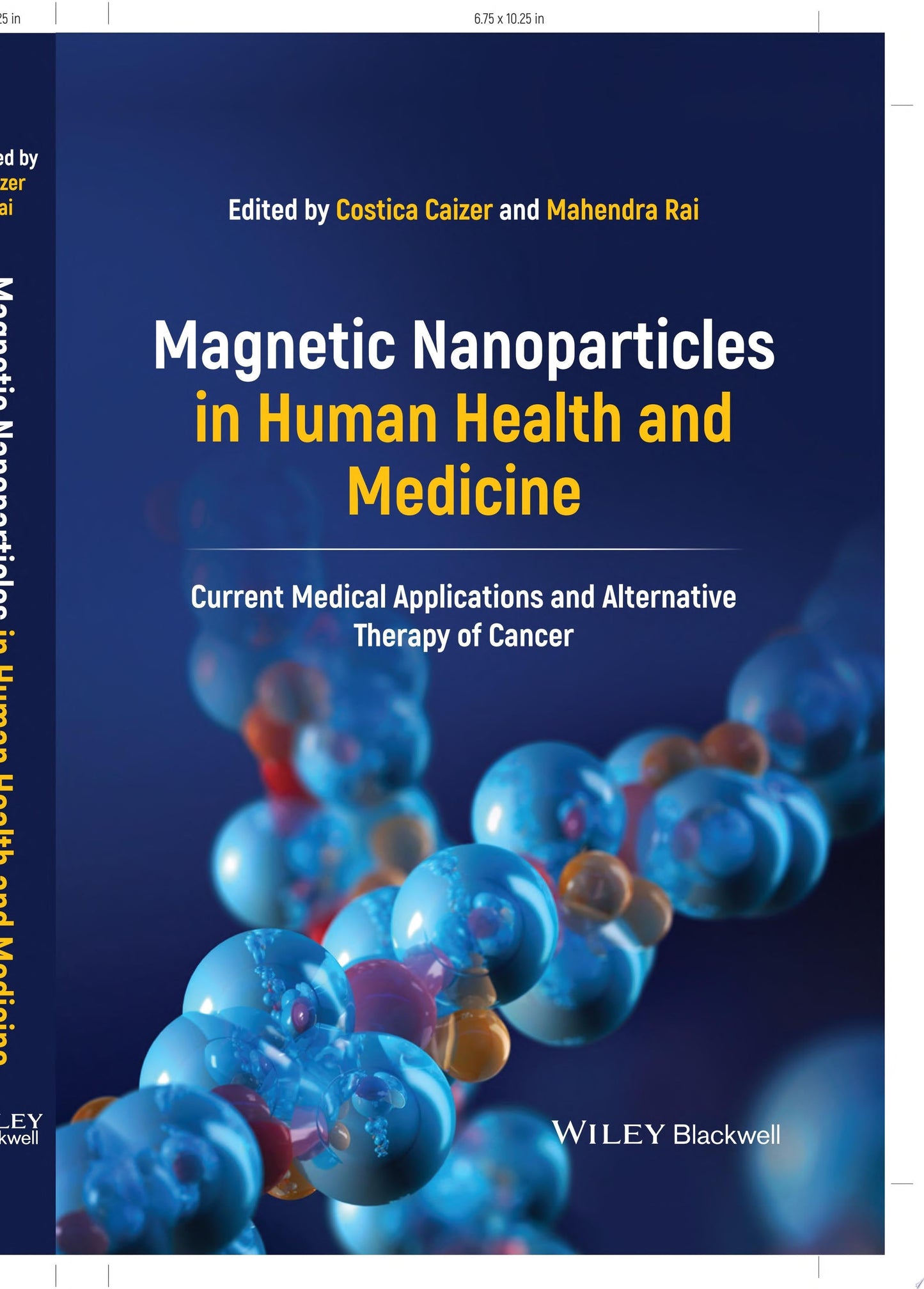 Magnetic Nanoparticles in Human Health and Medicine: Current Medical Applications and Alternative Therapy of Cancer