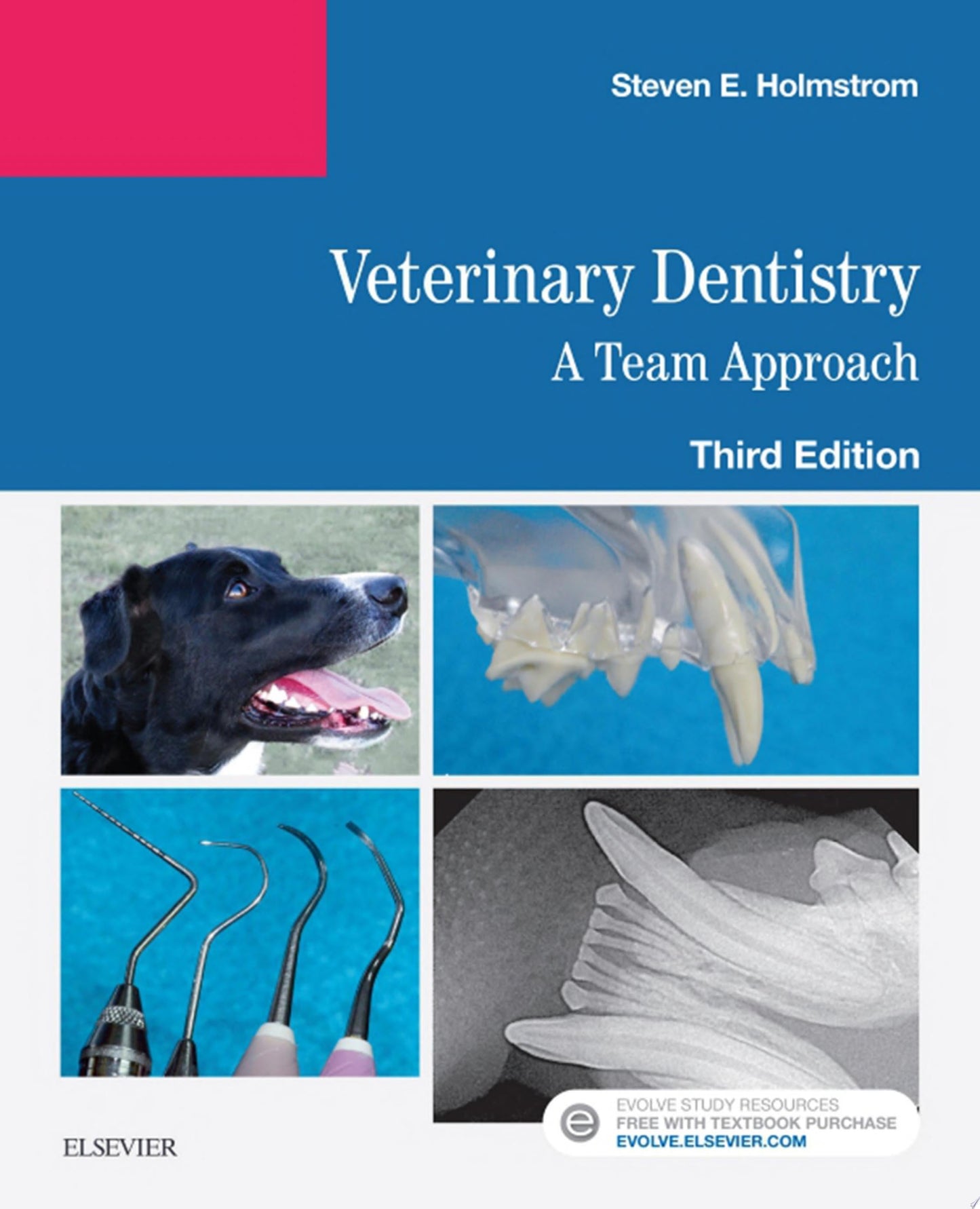 Veterinary Dentistry: A Team Approach E-Book