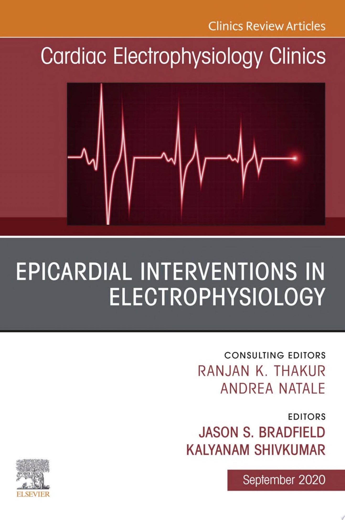 Epicardial Interventions in Electrophysiology, An Issue of Cardiac Electrophysiology Clinics