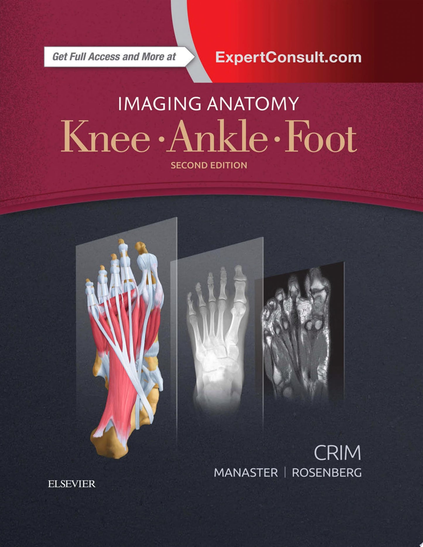 Imaging Anatomy: Knee, Ankle, Foot, 2nd Edition (PDF)