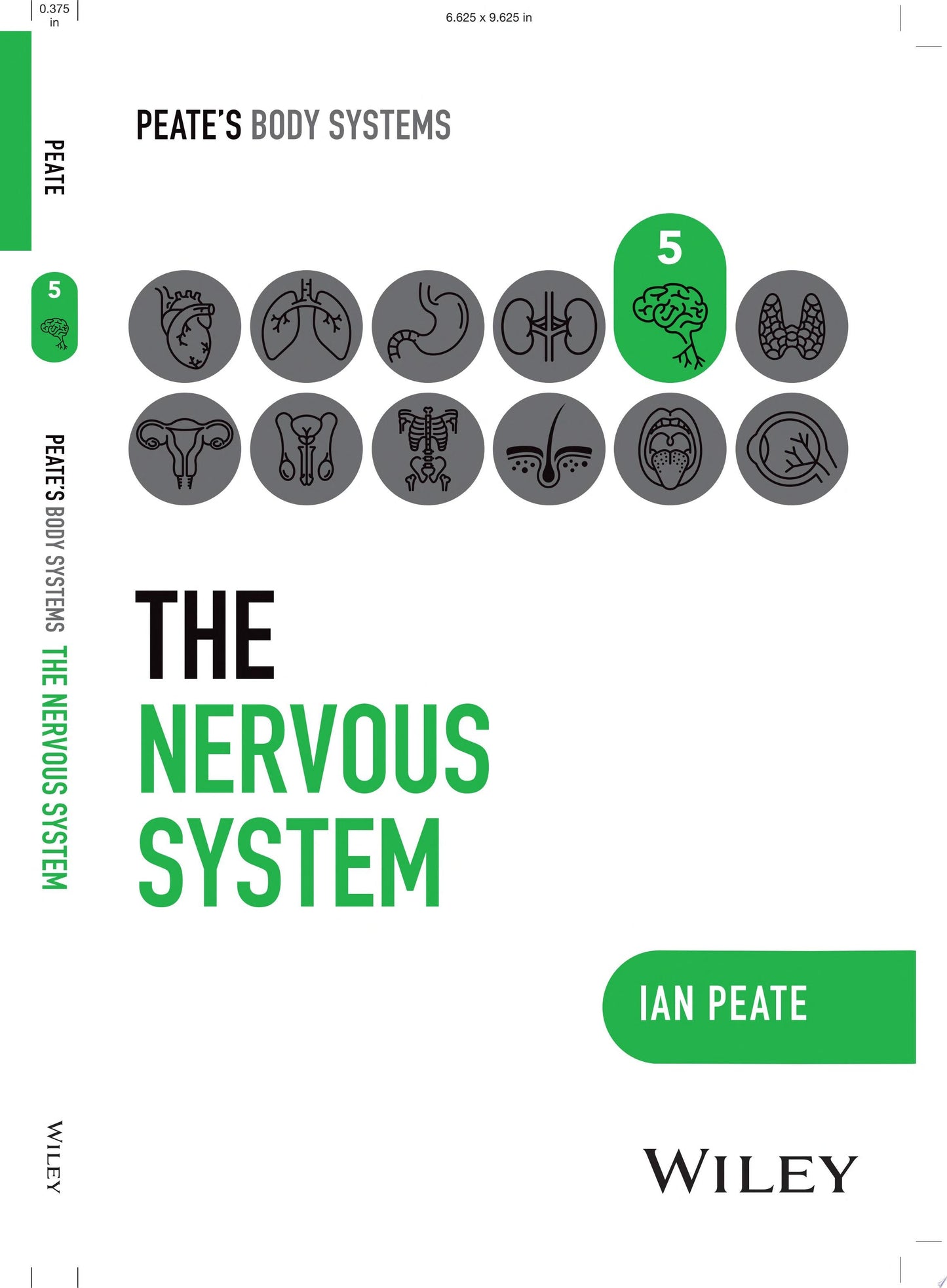 The Nervous System