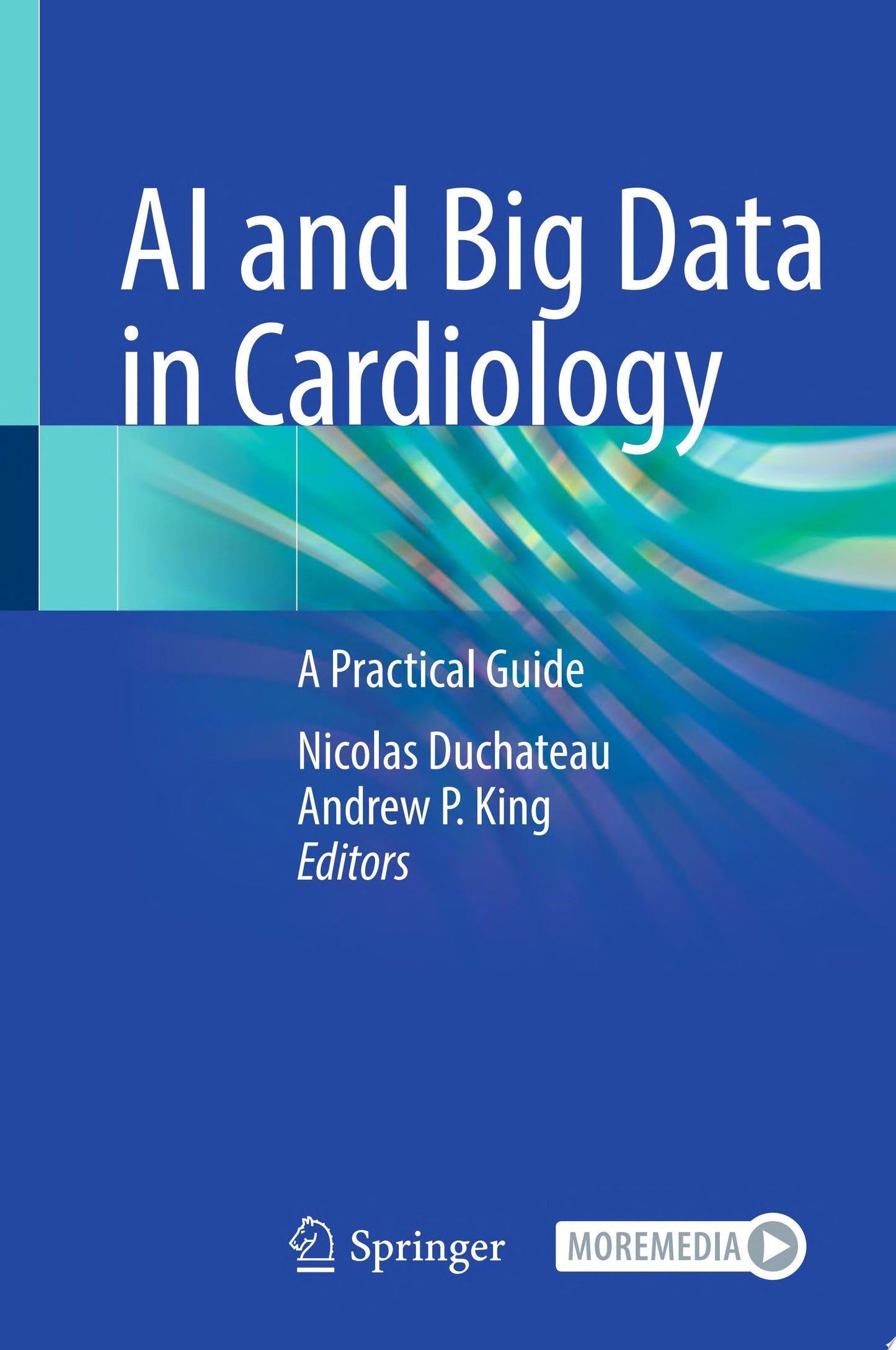 AI and Big Data in Cardiology: A Practical Guide