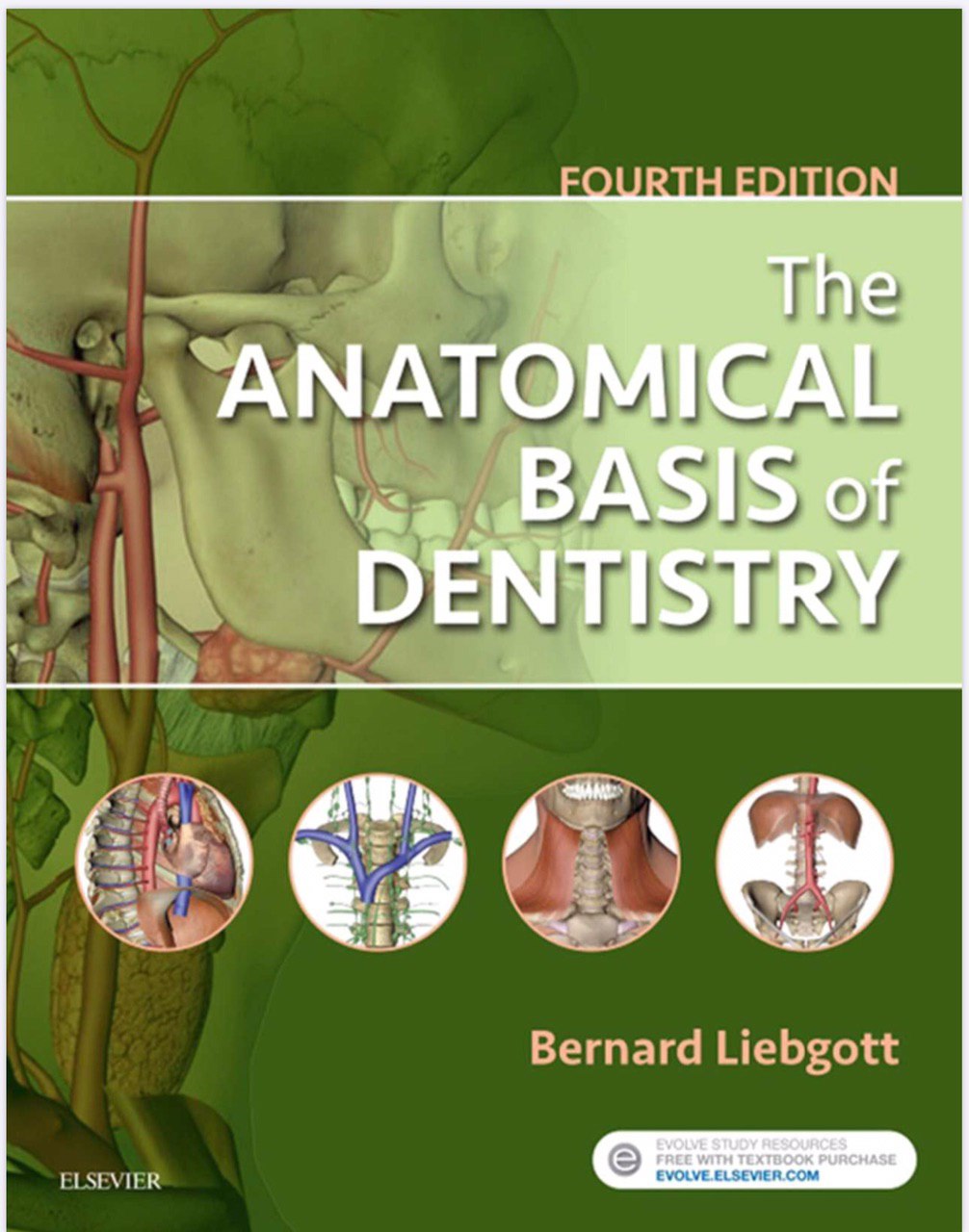 The Anatomical Basis of Dentistry 4th Edition
