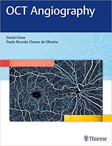 OCT Angiography (PDF)