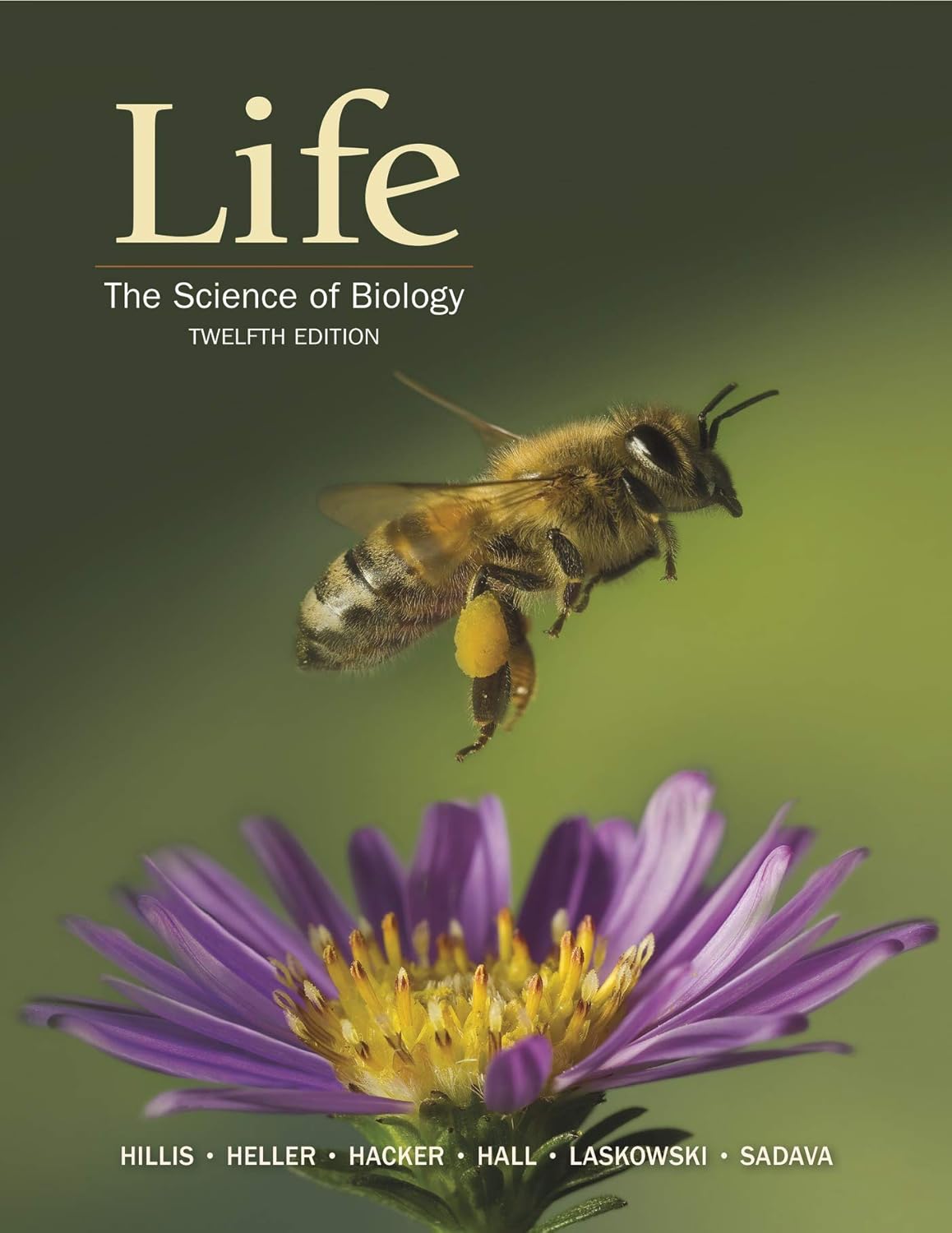 Life: The Science of Biology, 12th Edition