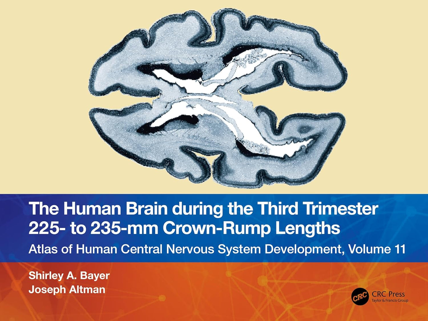 The Human Brain during the Third Trimester 225– to 235–mm Crown-Rump Lengths: Atlas of Central Nervous System Development, Volume 11 (Atlas of Human Central Nervous System Development, 11)
