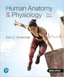Human Anatomy & Physiology – Erin C. Amerman, 3rd Edition