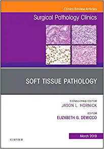 Soft Tissue Pathology, An Issue of Surgical Pathology Clinics (Volume 12-1) (The Clinics: Surgery, Volume 12-1)