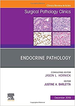 Endocrine Pathology, An Issue of Surgical Pathology Clinics (Volume 12-4) (The Clinics: Surgery, Volume 12-4)