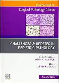 Challenges & Updates in Pediatric Pathology, An Issue of Surgical Pathology Clinics (Volume 13-4) (The Clinics: Surgery, Volume 13-4)