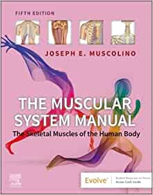 The Muscular System Manual: The Skeletal Muscles of the Human Body, 5th edition